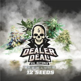 Dealer Deal XXL