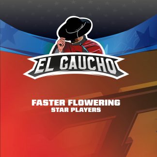 El Gaucho Faster