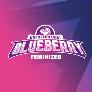Blue Berry