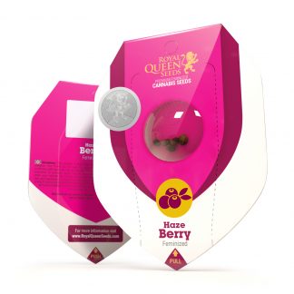 Haze Berry