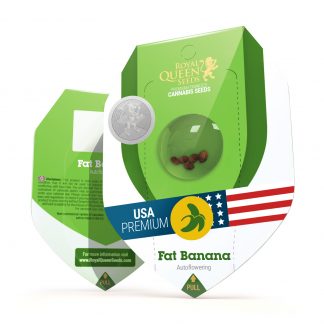Fat Banana Automatic