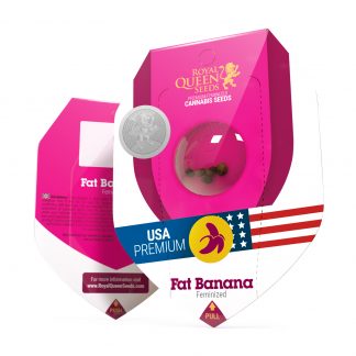Fat Banana