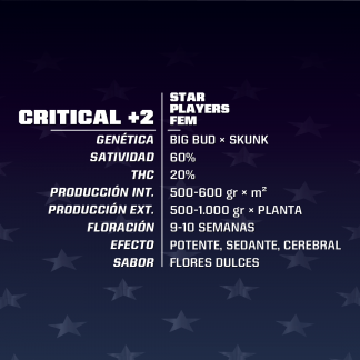 Critical+2
