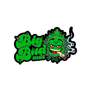 Big Bud Auto