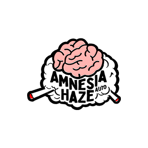 Amnesia Haze Auto