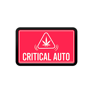Critical Auto