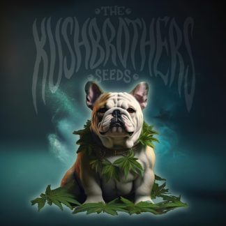 Dosidog