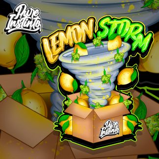 Lemon Storm