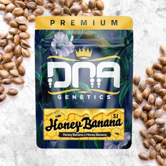 Honey Banana S1