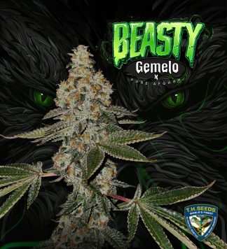 Beasty