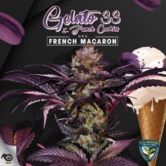 French Macarron