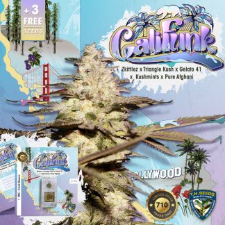 Califunk