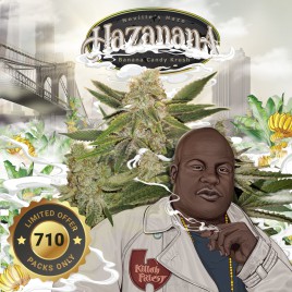 Hazanana