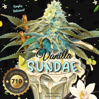 Vanilla Sundae