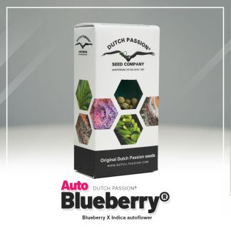 Auto Blueberry®