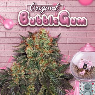 Original Bubblegum