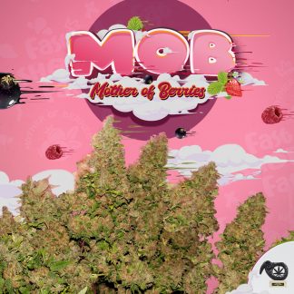 MOB™