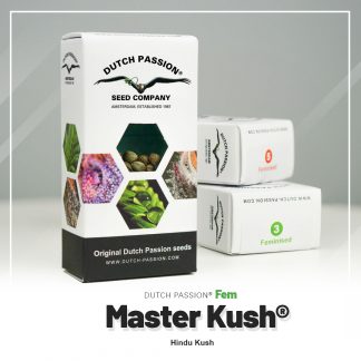 Master Kush
