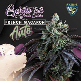 Auto French Macaron