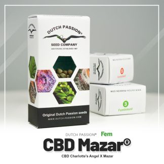 CBD Mazar®