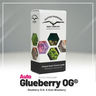 Auto Glueberry O.G.®