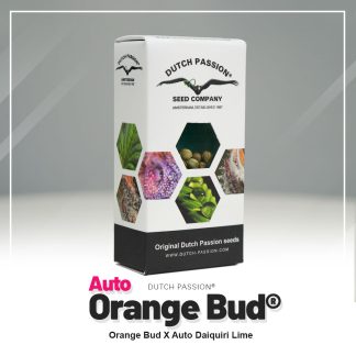 Auto Orange Bud®