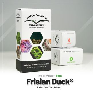 Frisian Duck®